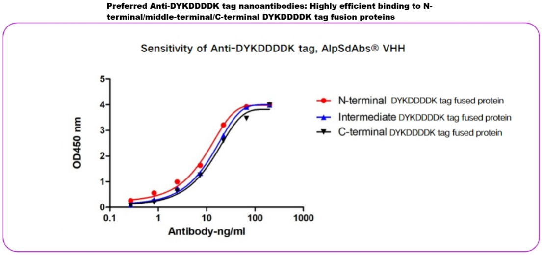 DYKDDDDK tag Nanoselector- No light and heavy chain interference in IP experiment
