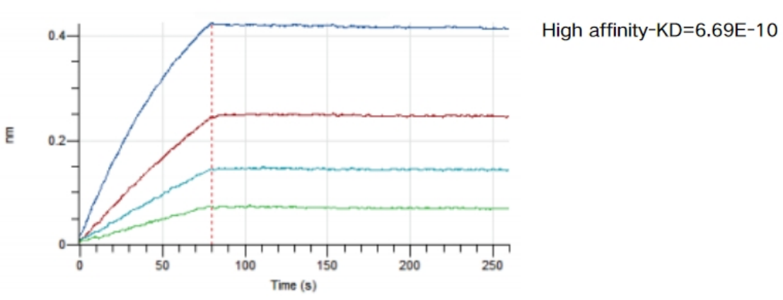 Nano-DT: A Superior Antibody Internalization Kit Compared to DT3C