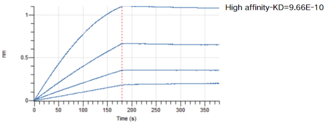 Nano-DT: A Superior Antibody Internalization Kit Compared to DT3C