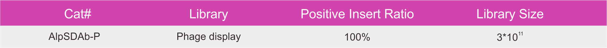 Phage display based Naïve VHH Library from Alpaca