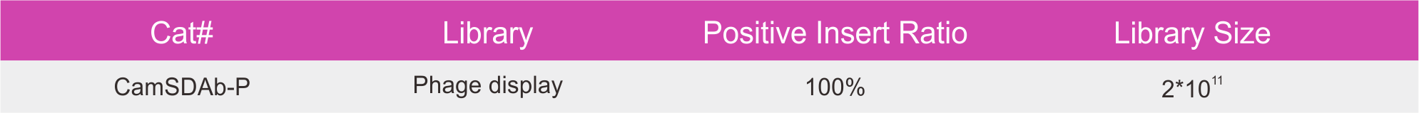 Phage dispaly based Naïve VHH Library from Camel