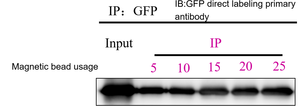 Why Choose Nanoselector for GFP IP?cid=13