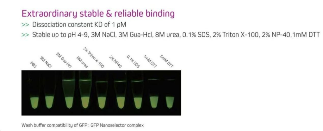 Why Choose Nanoselector for GFP IP?cid=13