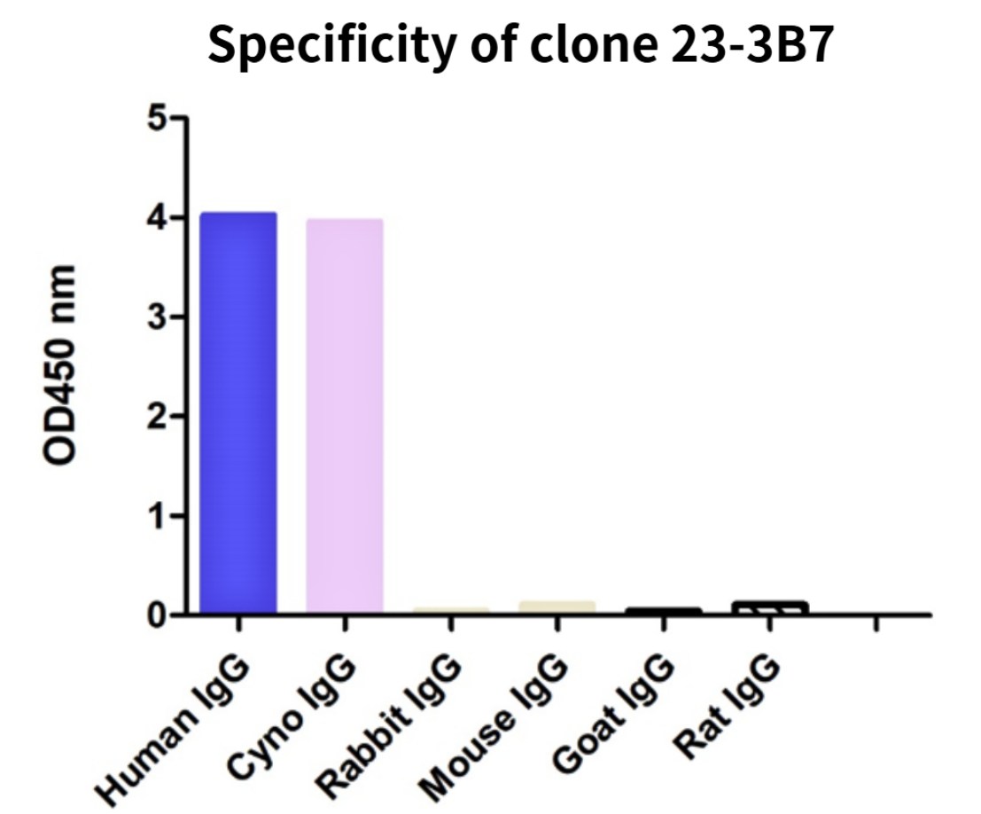 Antibody Drug Detection Innovation (Ⅰ) | Recombinant Anti-Human IgG CH1 Nano-Secondary Antibody