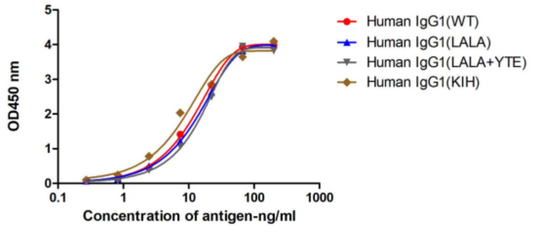 Antibody Drug Detection Innovation (Ⅱ): Recombinant Anti-Human IgG CH2 Domain Nano-Secondary Antibody