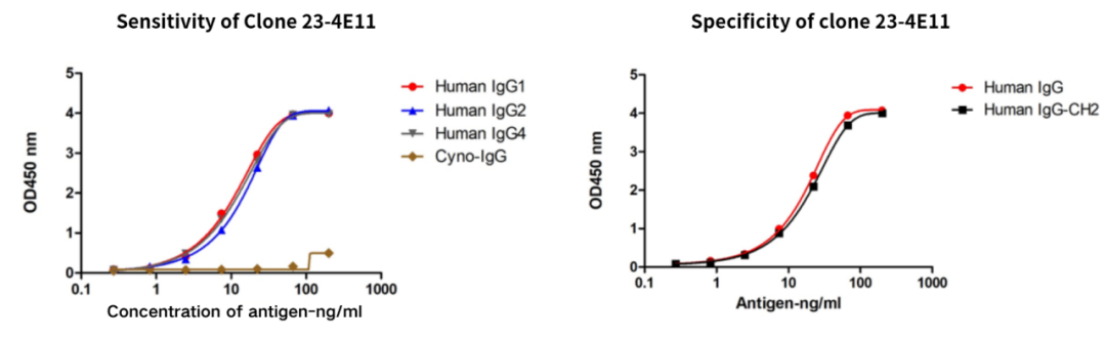 Antibody Drug Detection Innovation (Ⅱ): Recombinant Anti-Human IgG CH2 Domain Nano-Secondary Antibody
