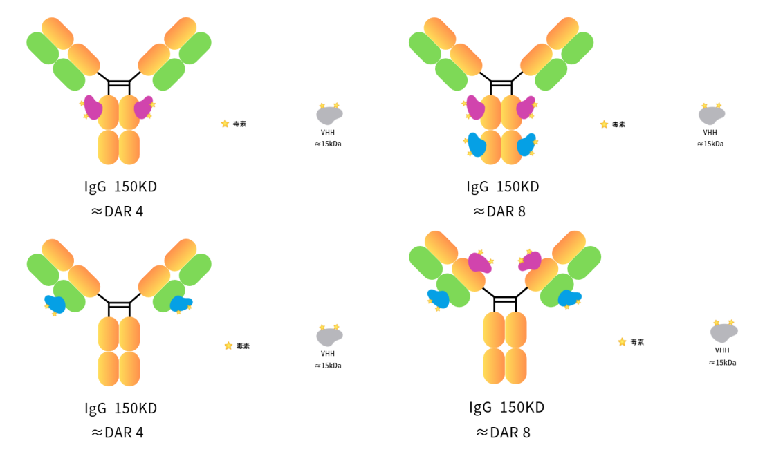 ADC Internalization Special Topic – (IV) Comprehensive Analysis of ADC Internalization Detection Methods: Methods, Differences, and Application Recommendations