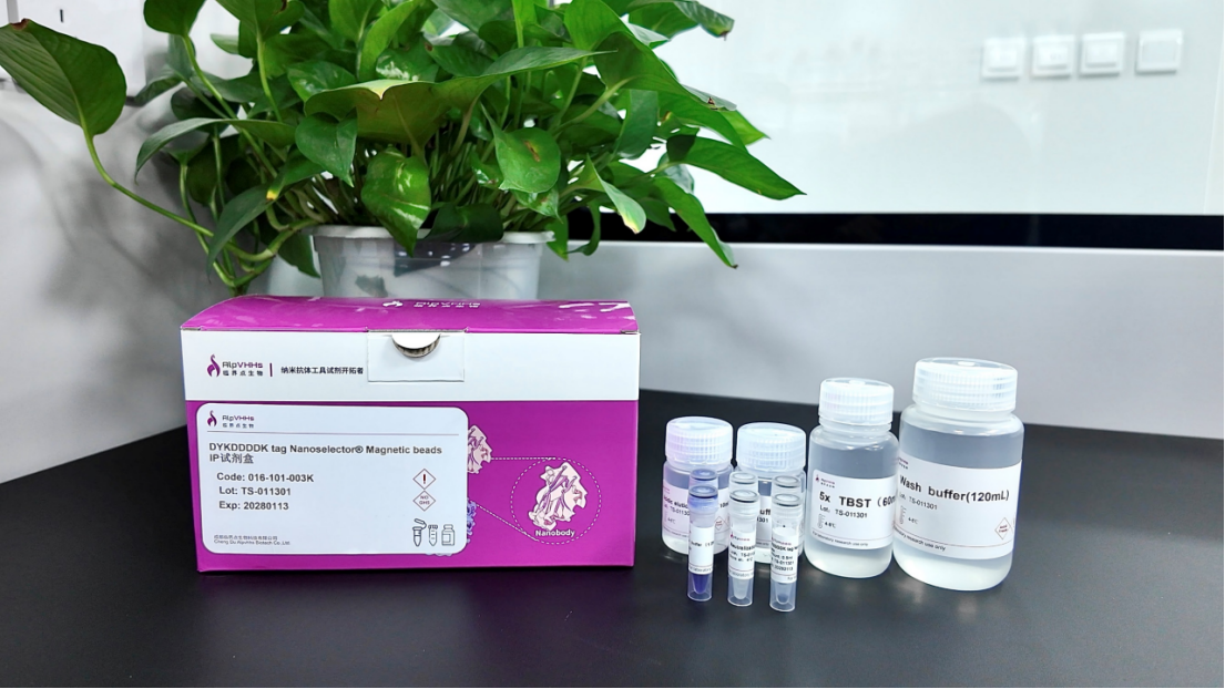 Components of DYKDDDDK tag Nanoselector Magnetic beads IP kit.png
