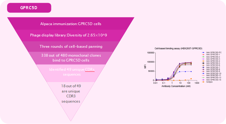 Phage Display Technology for High-Affinity VHH Nanobody Discovery