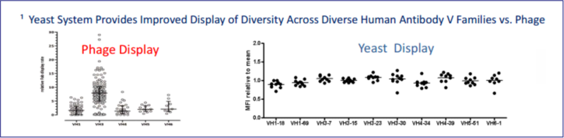 Yeast Display vs. Phage Display: How to choose Nanobody Discovery platform?cid=13