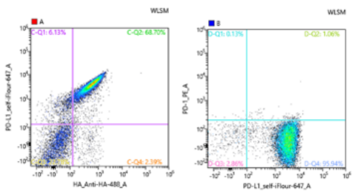 Yeast Display vs. Phage Display: How to choose Nanobody Discovery platform?cid=13