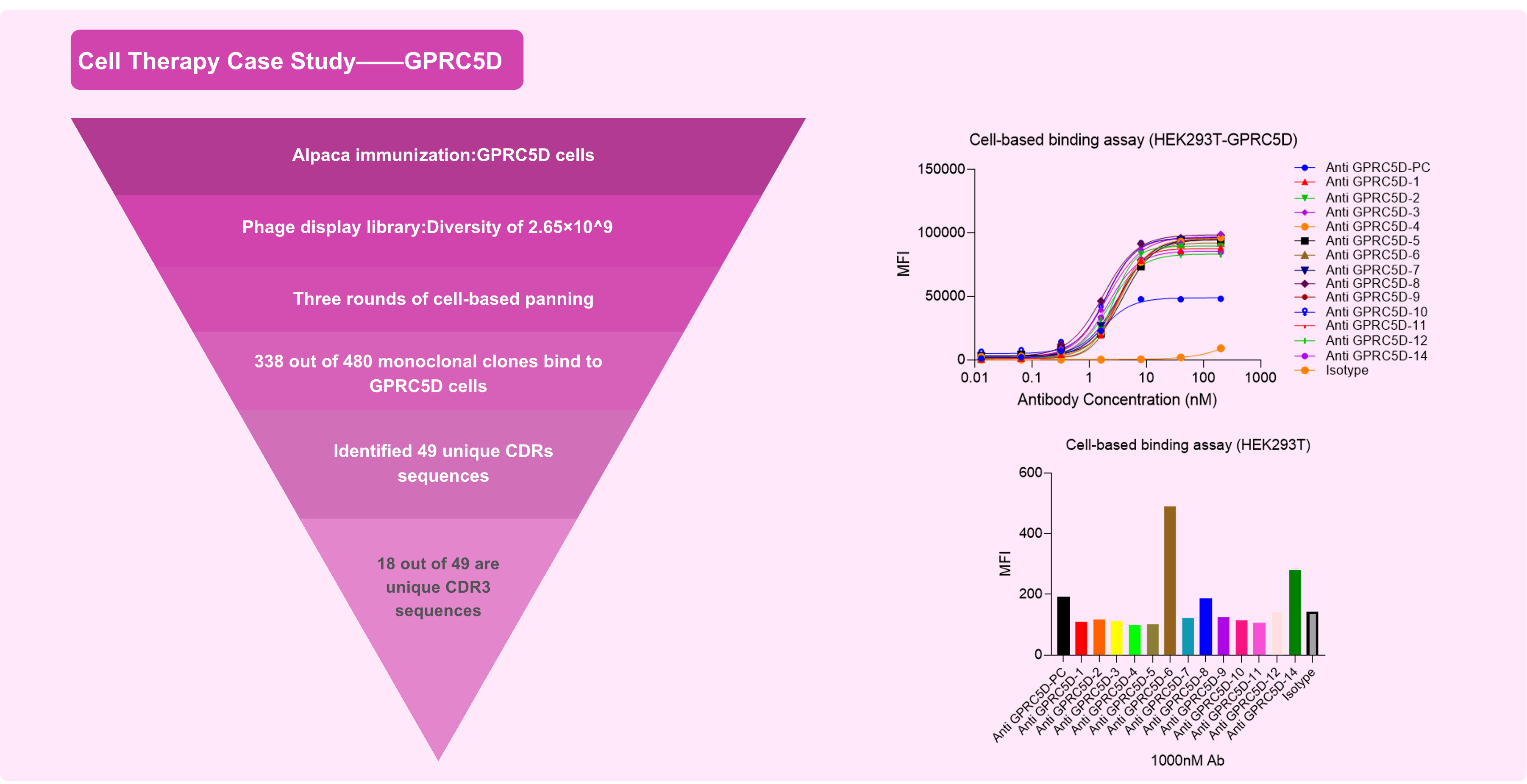 Conformationally Locked GPCRs Enable Nanobody Screening