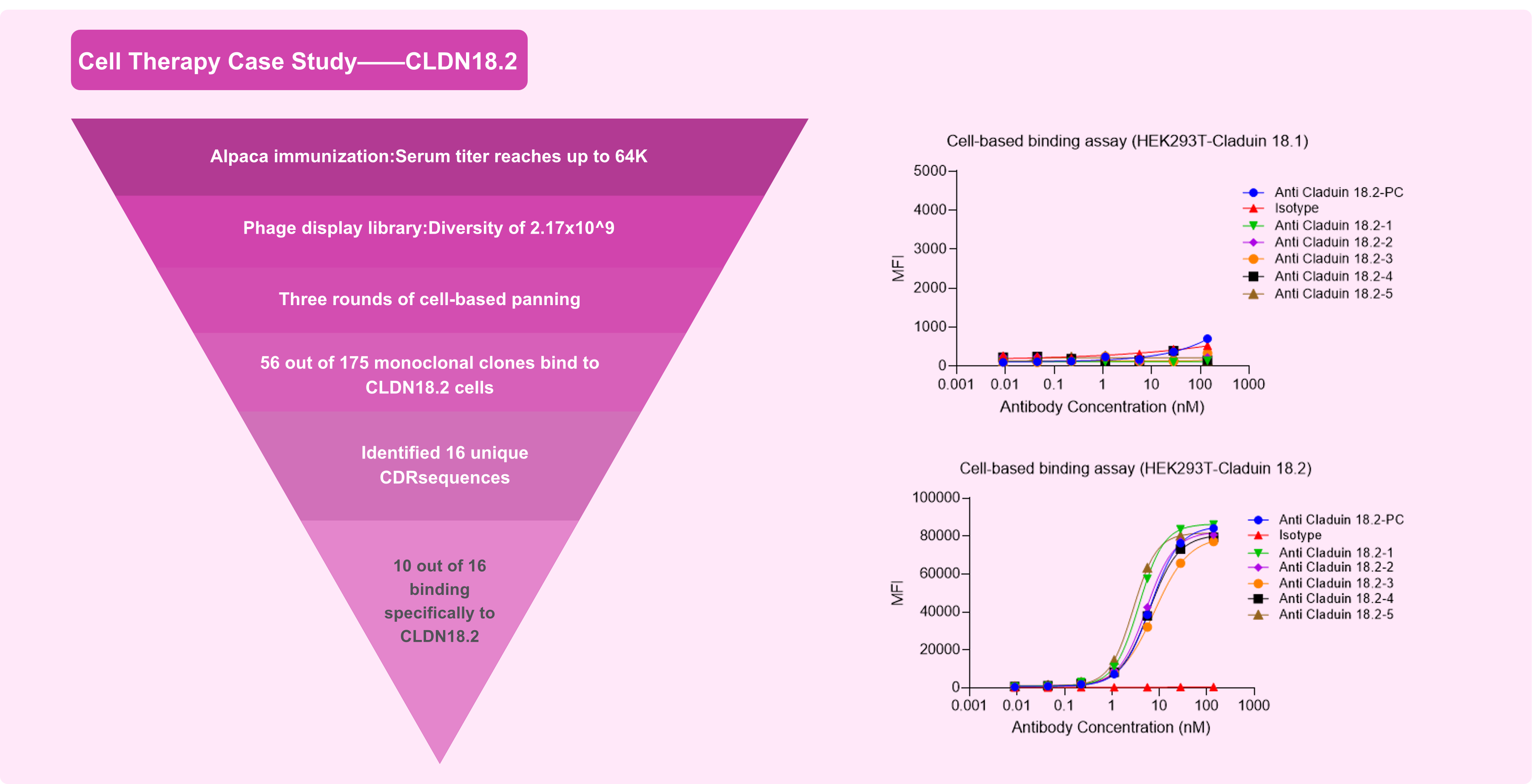 Conformationally Locked GPCRs Enable Nanobody Screening
