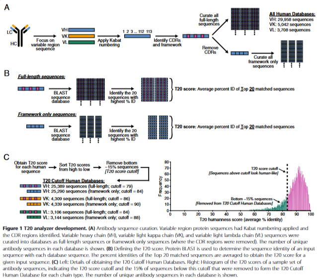 AbNatiV vs OASis and T20: Comparison of Antibody Humanization Scoring Tools