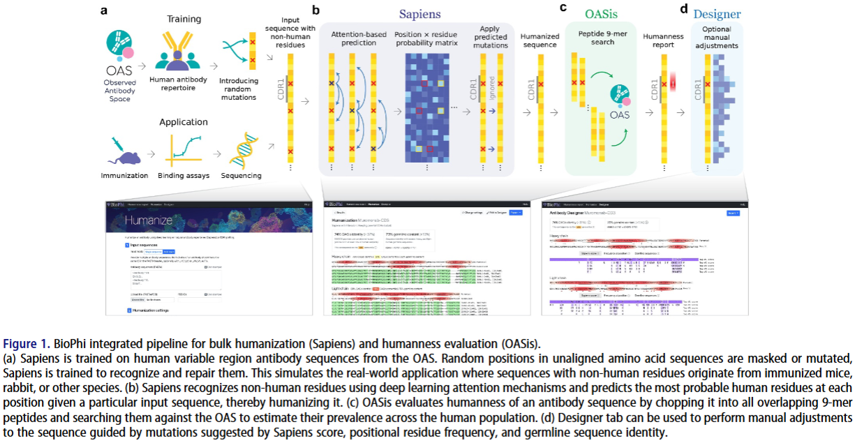 AbNatiV vs OASis and T20: Comparison of Antibody Humanization Scoring Tools