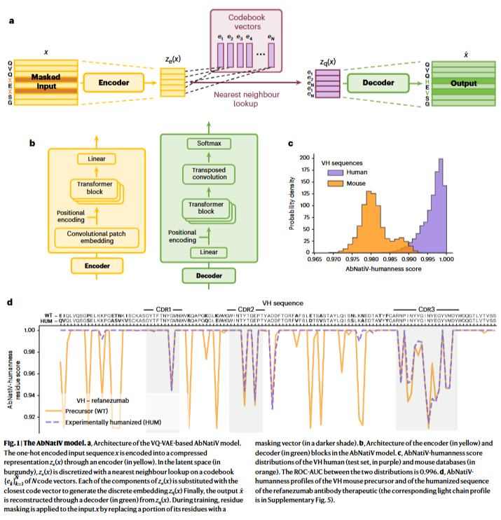 AbNatiV vs OASis and T20: Comparison of Antibody Humanization Scoring Tools