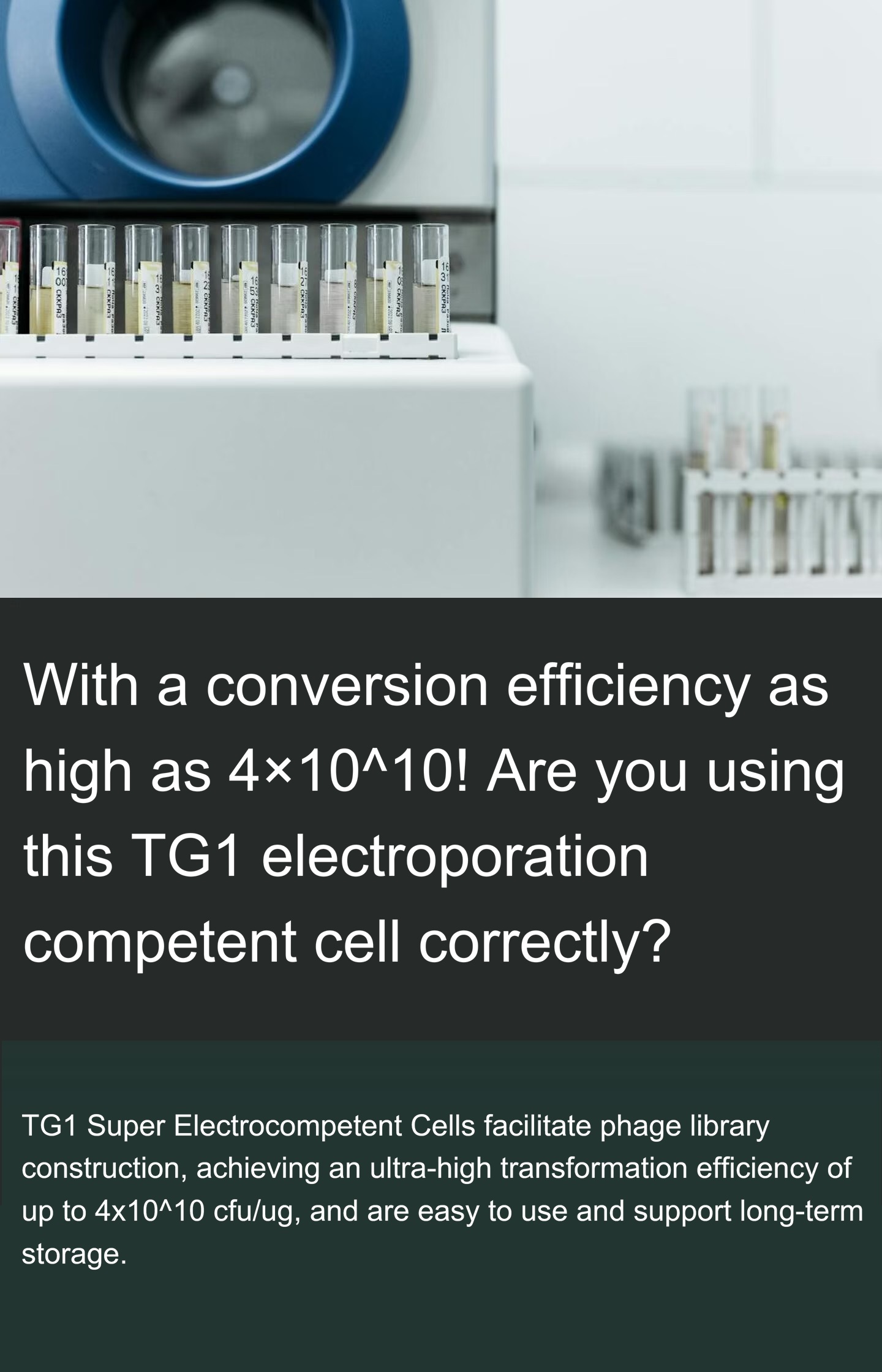 TG1 Electroporation Delivers Ultra-High Transformation Efficiency 4 x 10^10 for Phage Library Construction