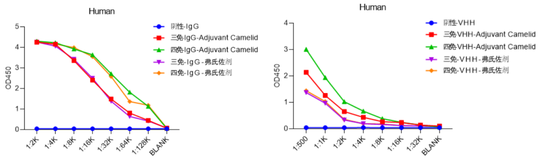 Freund's vs. Water-Soluble Adjuvants: Which is Better for Alpaca Immunization?cid=13