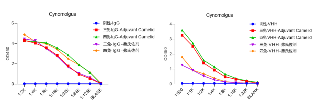 Freund's vs. Water-Soluble Adjuvants: Which is Better for Alpaca Immunization?cid=13