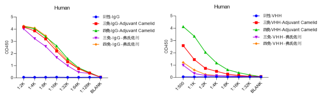 Freund's vs. Water-Soluble Adjuvants: Which is Better for Alpaca Immunization?cid=13