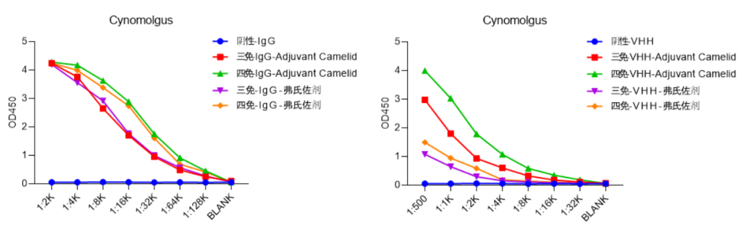 Freund's vs. Water-Soluble Adjuvants: Which is Better for Alpaca Immunization?cid=13