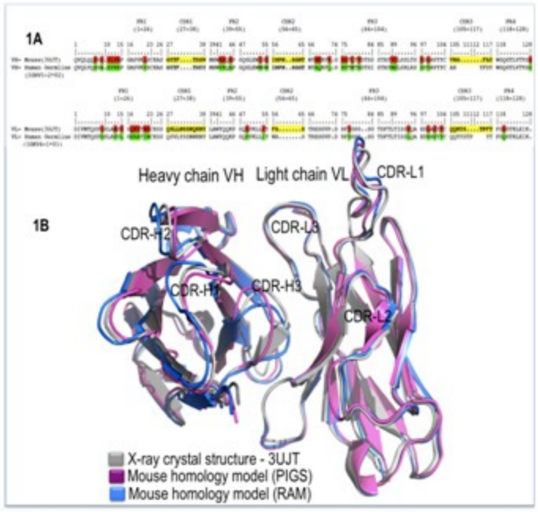 Technological Evolution of Antibody Humanization Design: From CDR Transfer to AI-Driven Multi-Objective Optimization