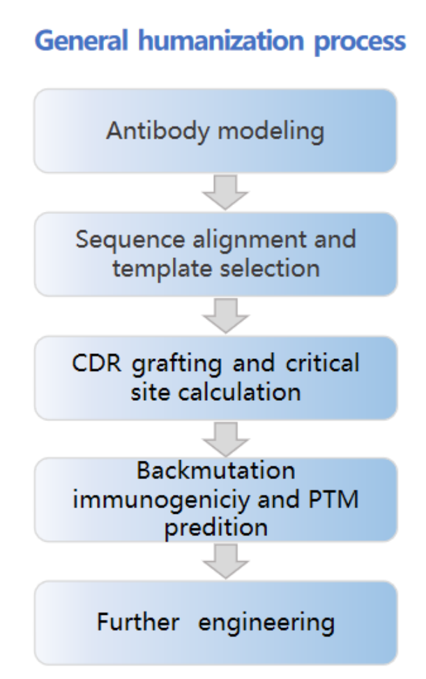 Technological Evolution of Antibody Humanization Design: From CDR Transfer to AI-Driven Multi-Objective Optimization