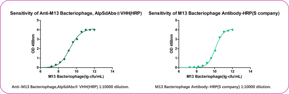 Essential Tool for Phage Display System - M13 Nano-Secondary Antibodies