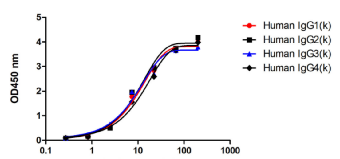 Antibody Drug Testing Innovation (Ⅳ) | Recombinant Anti-human IgG Kappa and Lambda Nano-Secondary Antibody