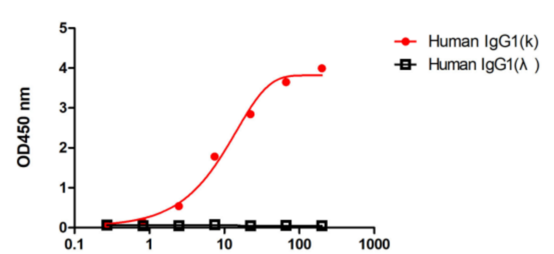 Antibody Drug Testing Innovation (Ⅳ) | Recombinant Anti-human IgG Kappa and Lambda Nano-Secondary Antibody