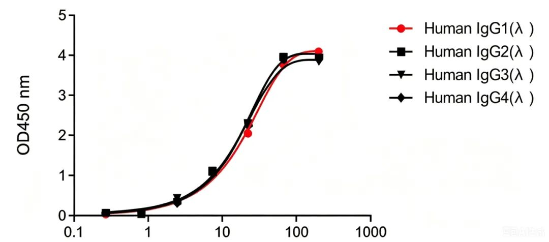 Antibody Drug Testing Innovation (Ⅳ) | Recombinant Anti-human IgG Kappa and Lambda Nano-Secondary Antibody