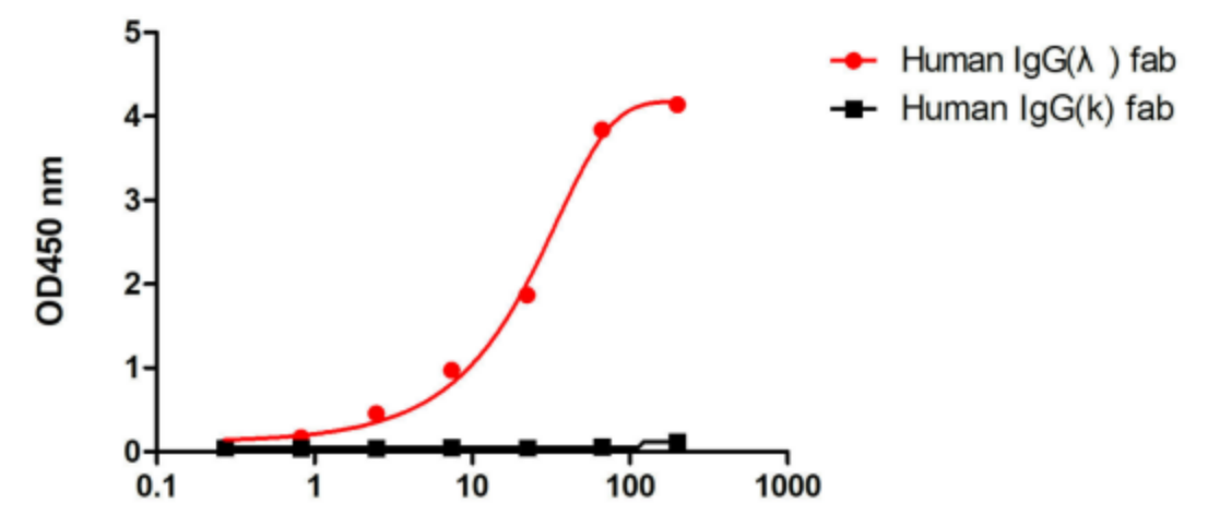 Antibody Drug Testing Innovation (Ⅳ) | Recombinant Anti-human IgG Kappa and Lambda Nano-Secondary Antibody