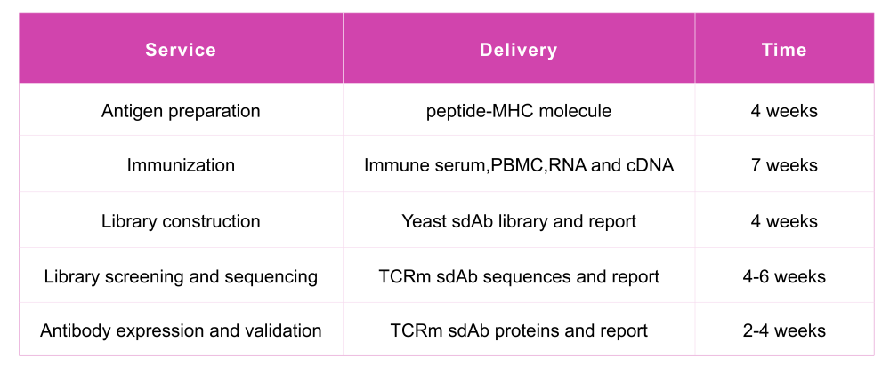 Development of TCR-mimic VHH Antibody