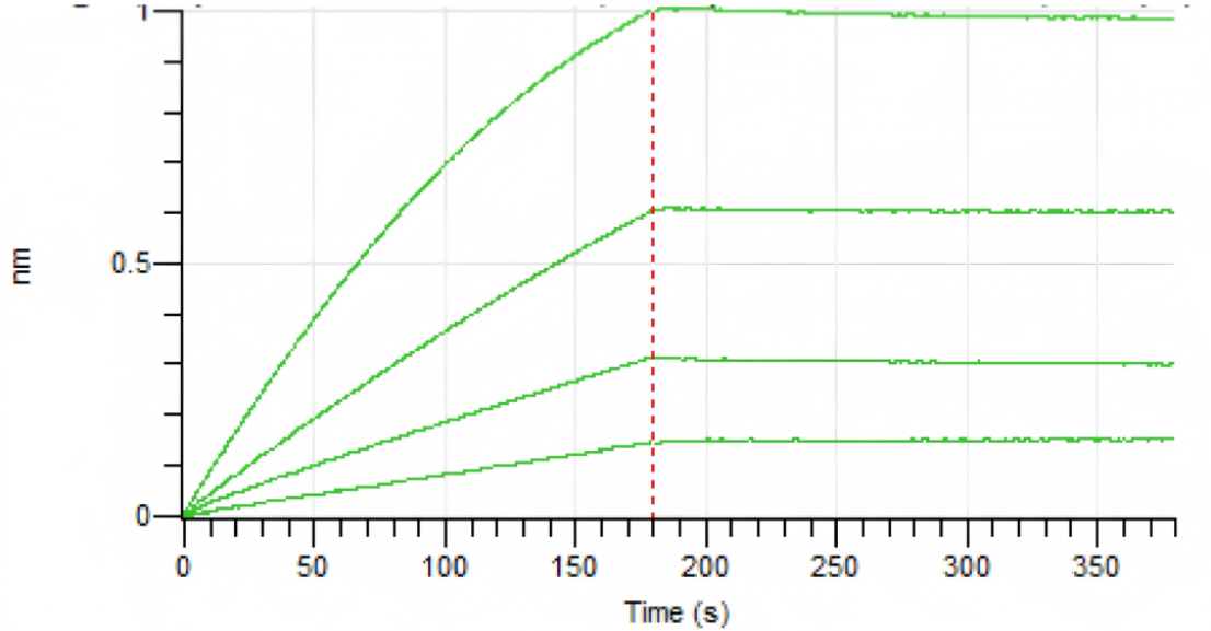 Affinity validation