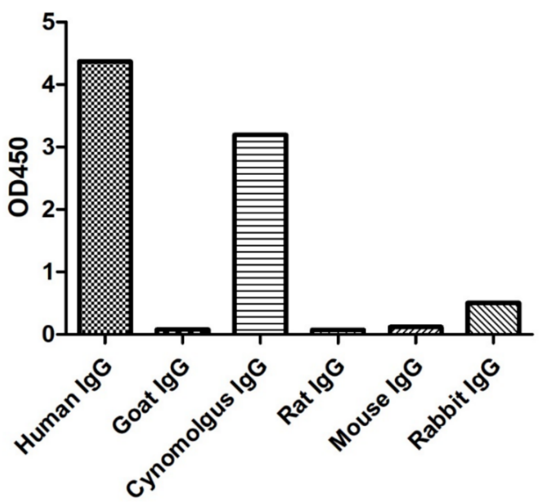 Major technological breakthrough: Successful expression of antibody fusion with PE and APC