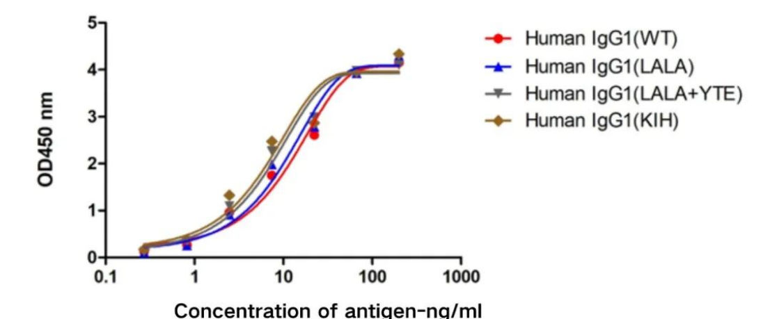 Major technological breakthrough: Successful expression of antibody fusion with PE and APC