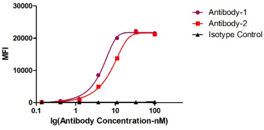 Major technological breakthrough: Successful expression of antibody fusion with PE and APC