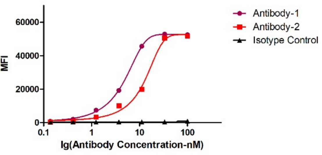 Major technological breakthrough: Successful expression of antibody fusion with PE and APC
