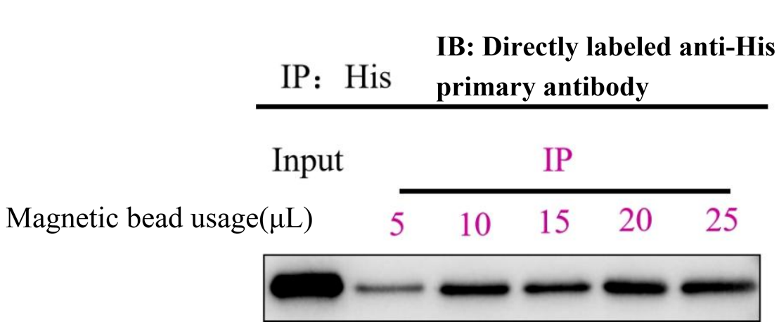Moving Beyond Ni-NTA: His-tag IP Enters the Nanoselector Era