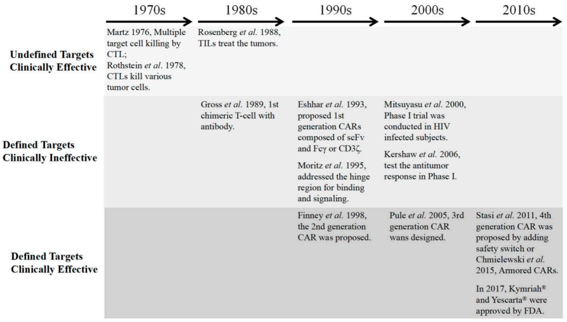 A brief history of the development of cell immunotherapy from the laboratory to the clinic