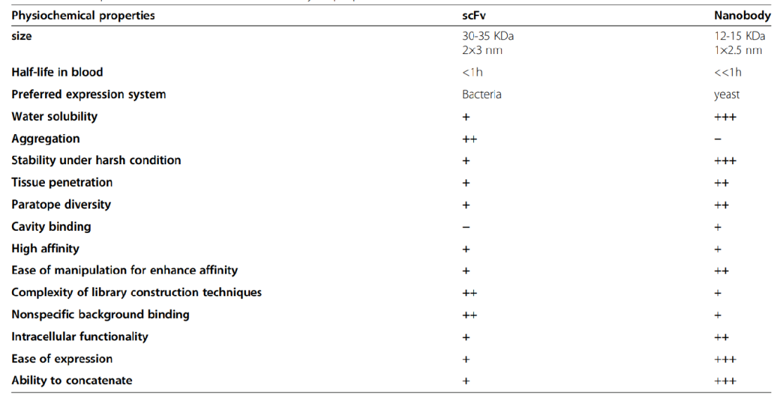 Comprehensive comparison of scFv and VHH