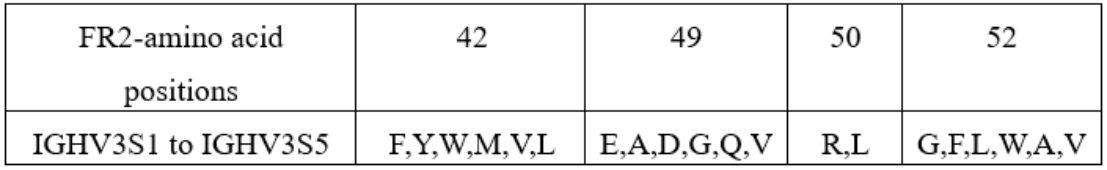 Llama FR2-amino acid positions