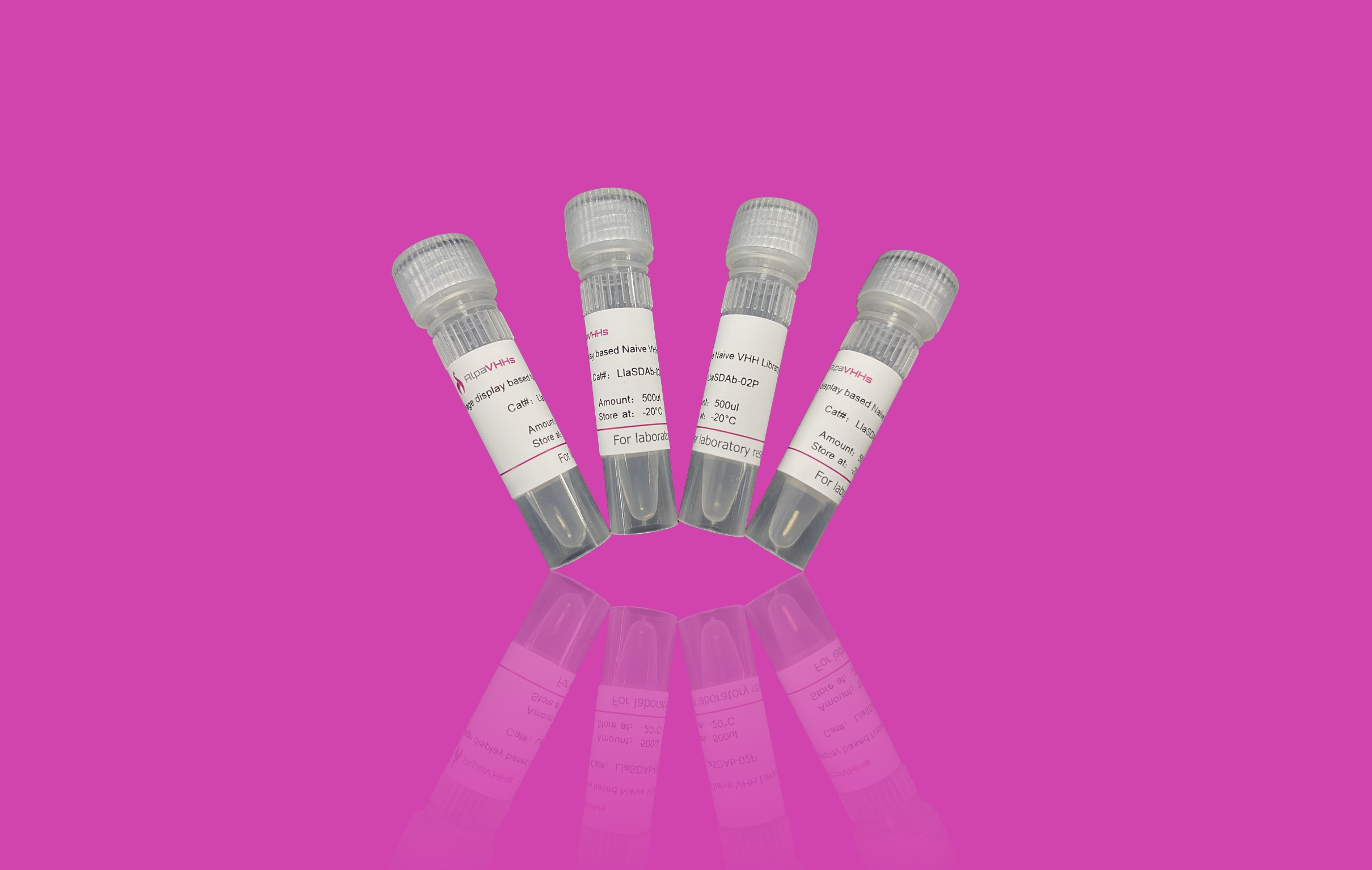 Phage display based Naïve VHH Library from llama