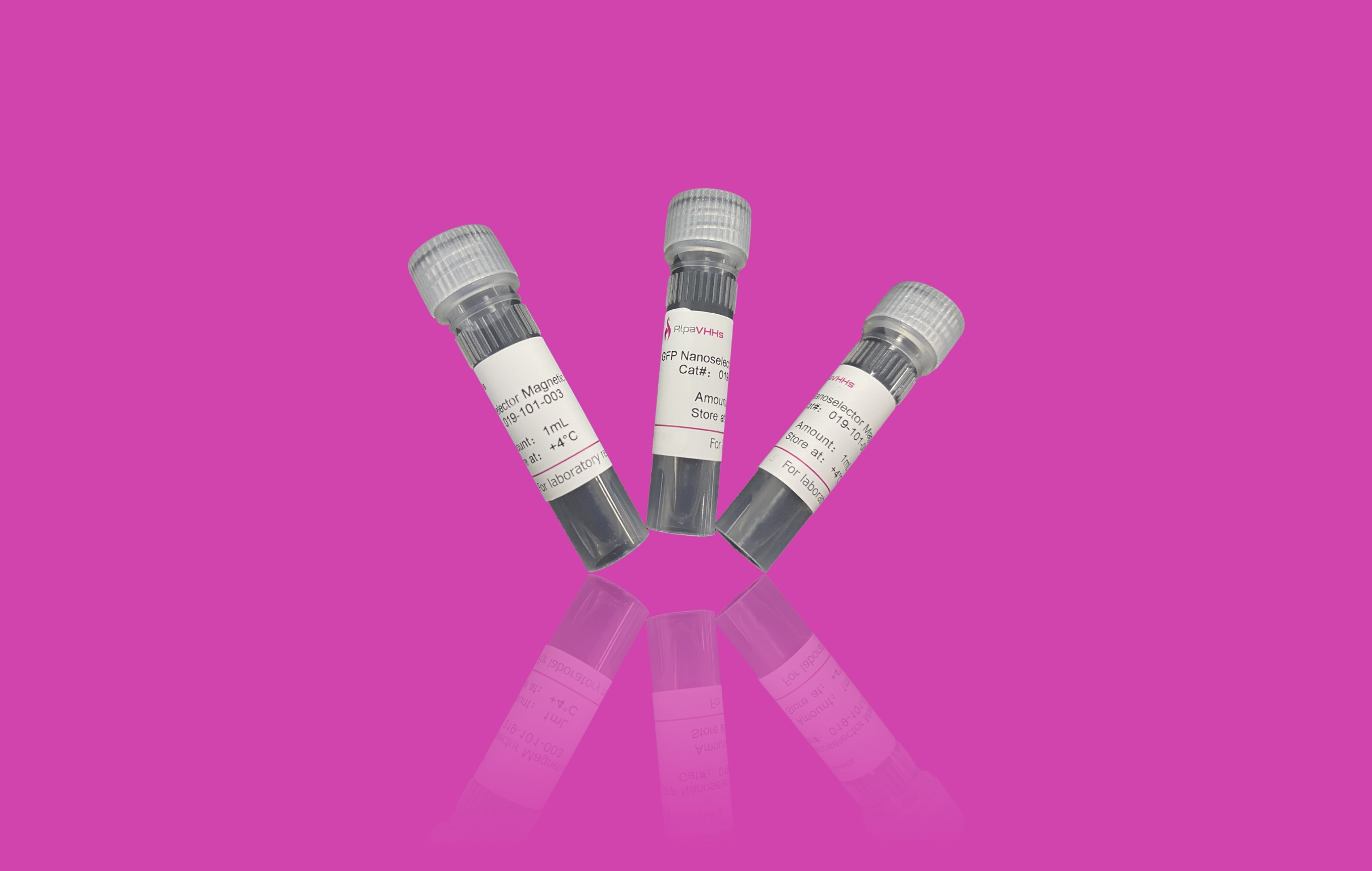 GFP Nanoselector Magnetic beads