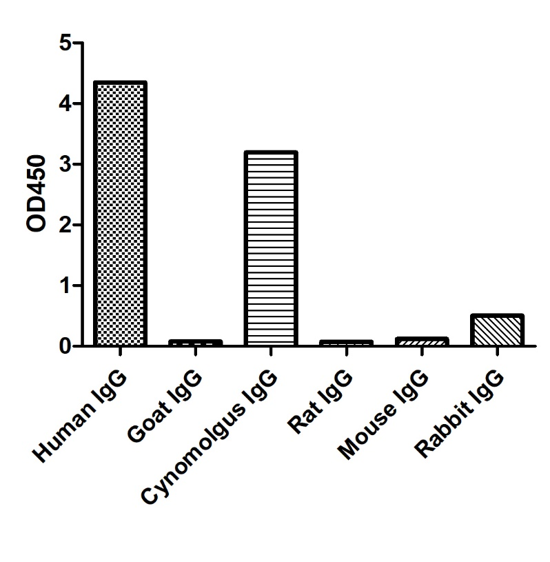 Anti-Human IgG(Fcγ fragment specific), AlpSdAbs® VHH(Biotin)