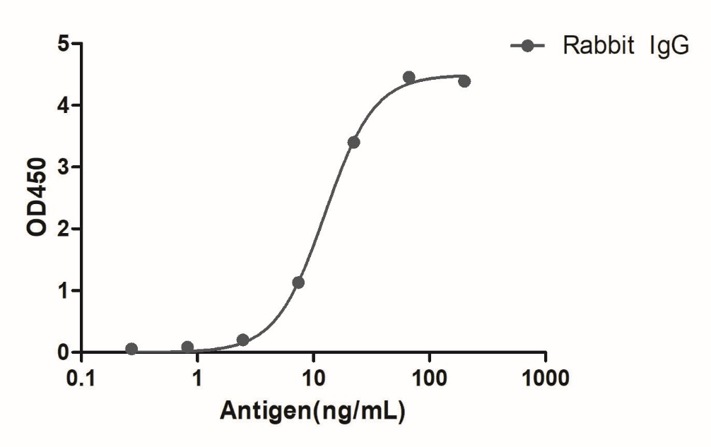 Anti-Rabbit IgG(Fcγ Fragment specific), AlpHcAbs® Goat antibody