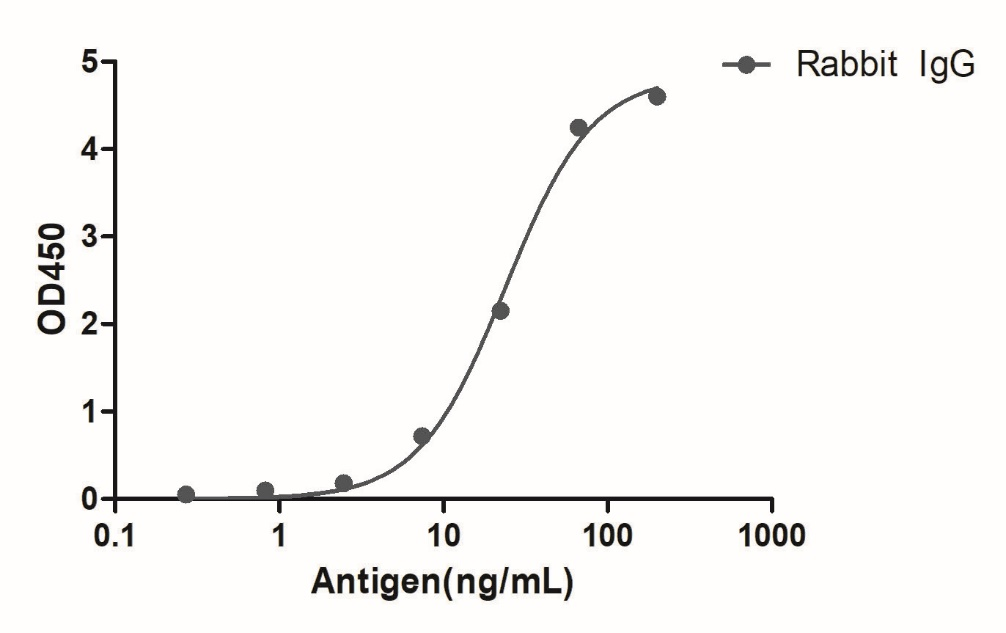 Anti-Rabbit IgG(Fcγ Fragment specific), AlpHcAbs® Goat antibody(Biotin)