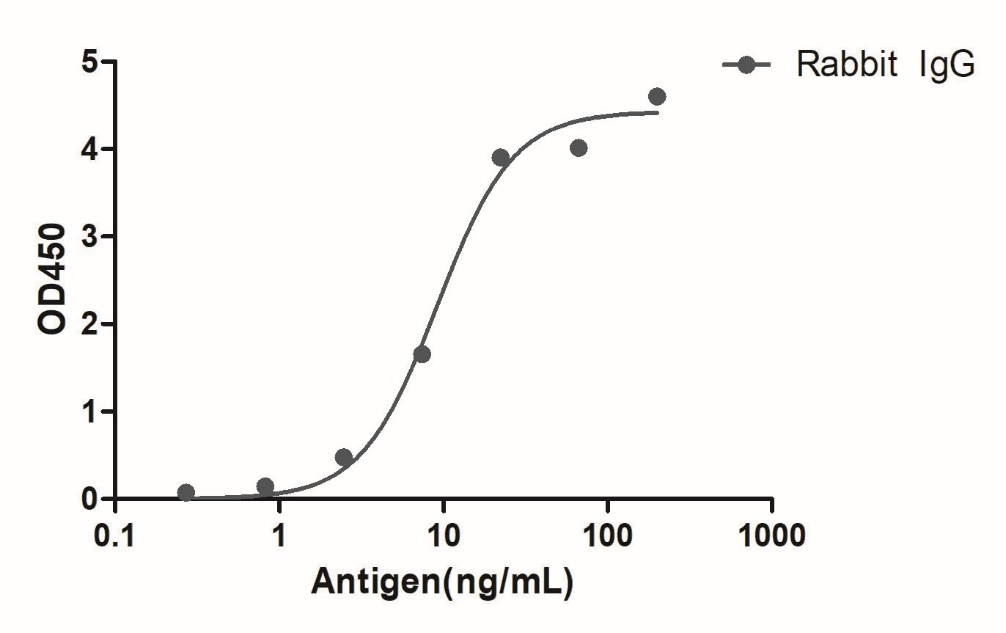 Anti-Rabbit IgG(Fcγ Fragment specific), AlpHcAbs® Goat antibody(HRP)