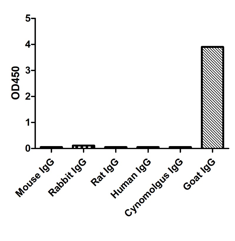 Anti-Goat IgG(Fcγ Fragment specific), AlpSdAbs® VHH(Biotin)
