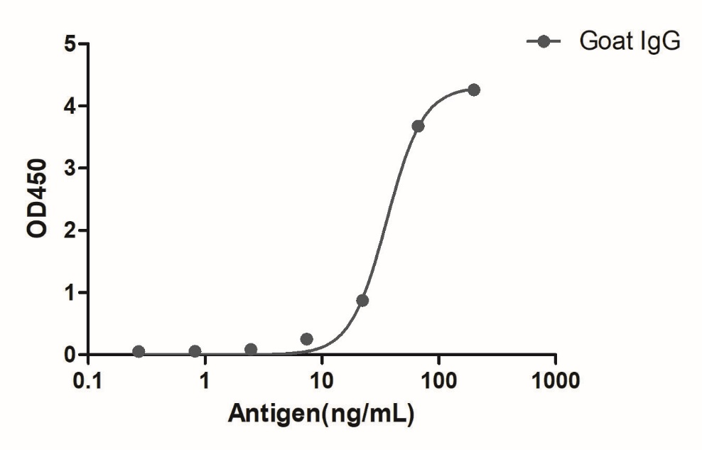 Anti-Goat IgG(Fcγ Fragment specific), AlpSdAbs® VHH(HRP)